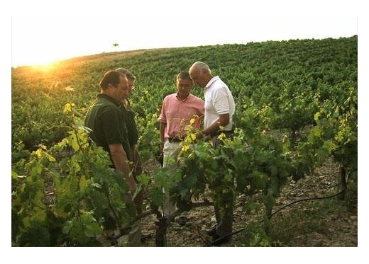 Bodega Matarromera, Winzer aus Ribero del Duero